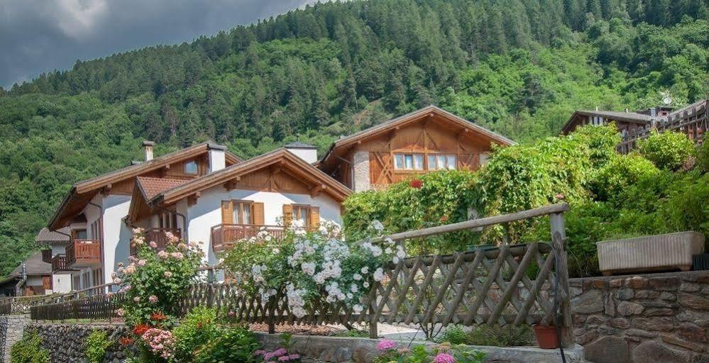 Hotel Val Di Sole メッツァーナ エクステリア 写真